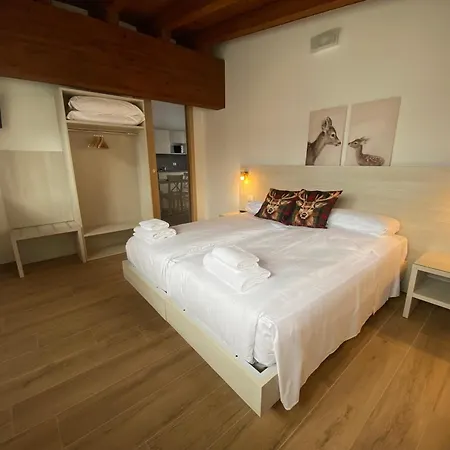 International Tarvisio