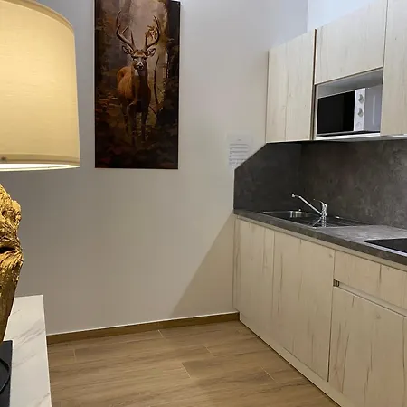 International 3* Tarvisio