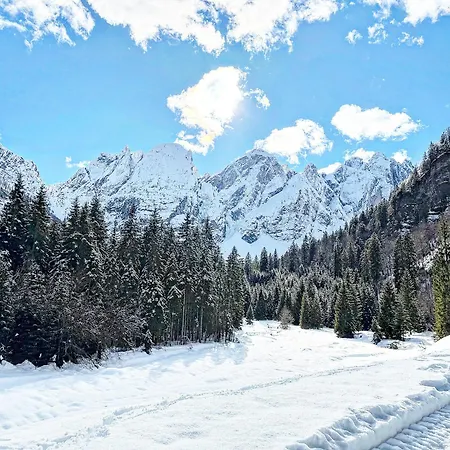 International Hotel 3*