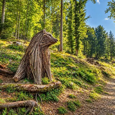 Szálloda International Tarvisio