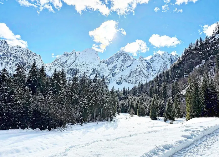 International Hotel 3*